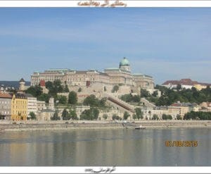 IMG_7613
