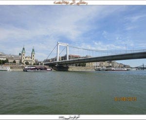 IMG_8513