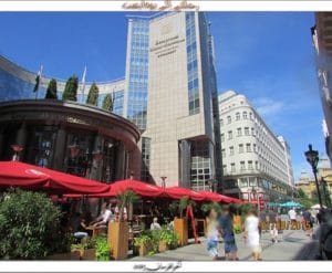 IMG_8703