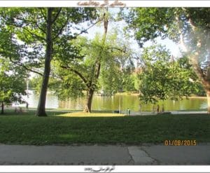 IMG_9045